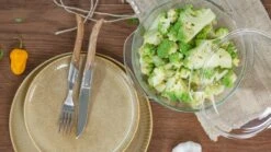 Sareva Ovenschaal Met Deksel- Hittebestendig Glas - ø 19.5 Cm / 1.5 Liter 7 Sareva Ovenschaal Met Deksel- Hittebestendig Glas - ø 19.5 Cm / 1.5 Liter -Cuisine Et Table 24082021 10