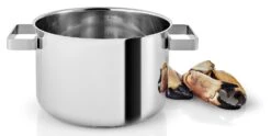 Eva Solo Kookpan Nordic Kitchen RVS - ø 20 Cm / 4 Liter -Cuisine Et Table 281240 Nordic Kitchen Pot 4l 20cm regi HIGH