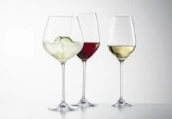 Schott Zwiesel Wijnglazen Fortissimo - Set 18 Delig - Witte En Rode Wijnglazen & Gin Tonic Glazen -Cuisine Et Table 4001836085601 schott zwiesel fortissimo 1