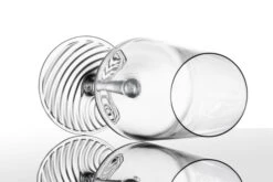 Zwiesel Glas Champagneglazen Echo - 395 Ml - 4 Stuks -Cuisine Et Table 4001836117838 2