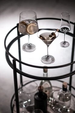 Zwiesel Glas Martiniglazen Echo - 166 Ml - 4 Stuks 11 Zwiesel Glas Martiniglazen Echo - 166 Ml - 4 Stuks -Cuisine Et Table 4001836117845 4