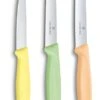 Victorinox Schilmessenset Trend - 3-Delig -Cuisine Et Table 7613329141892