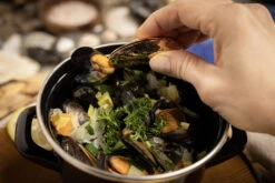 Anovi Mosselbestek - Verguld - 2-delig -Cuisine Et Table 8 Mosselen Anovi 8 1