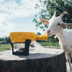 Boska Fondueset Cheesy - 6 Personen - Geel/zwart - 1.3 Liter 10 Boska Fondueset Cheesy - 6 Personen - Geel/zwart - 1.3 Liter -Cuisine Et Table 853512 BOSKAFondueSetSuperCheesy 2 2400x