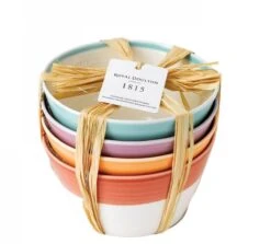 Royal Doulton Kommen 1815 Bright Colours ø 15 Cm - 4 Stuks 11 Royal Doulton Kommen 1815 Bright Colours ø 15 Cm - 4 Stuks -Cuisine Et Table 9022 2