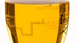 Brugse Zot Bierglas - 330 Ml - 6 Stuks 13 Brugse Zot Bierglas - 330 Ml - 6 Stuks -Cuisine Et Table Merkbier gevuld 8 1