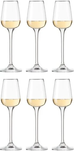 Leonardo Grappaglazen Tivoli - 100 Ml - 6 Stuks