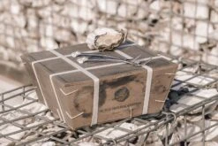 Anovi Oestervorkjes - 4 Stuks -Cuisine Et Table Oysterforks