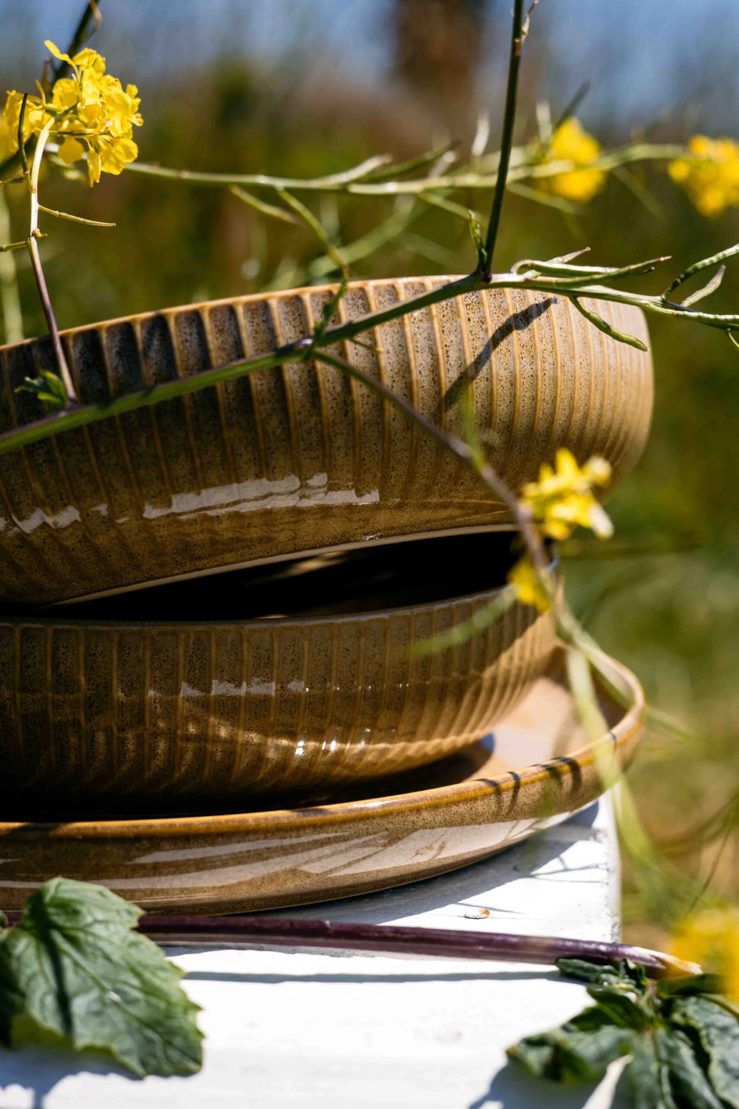 Jay Hill Diepe Borden Silhouette ø 21 Cm - 4 Stuks 6 Jay Hill Diepe Borden Silhouette ø 21 Cm - 4 Stuks - Image 4