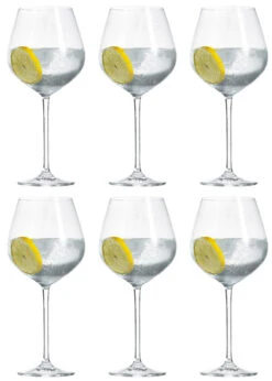 Schott Zwiesel Wijnglazen Fortissimo - Set 18 Delig - Witte En Rode Wijnglazen & Gin Tonic Glazen -Cuisine Et Table Schott Zwiesel Gin Tonic Glazen Fortissimo 740 ml 6 Stuks