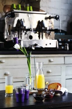 Bormioli Rocco Karaf Ypsilon Met Kurk - 1 Liter -Cuisine Et Table a001293