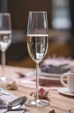 Schott Zwiesel Champagneglazen Diva - 220 Ml - 6 Stuks -Cuisine Et Table champagne glas