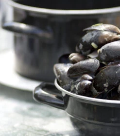 Cosy & Trendy Mosselpan - Oranje - ø 18 Cm / 2.8 Liter 12 Cosy & Trendy Mosselpan - Oranje - ø 18 Cm / 2.8 Liter -Cuisine Et Table mosselpan 4