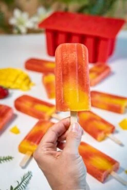 Sareva IJsjesmaker Voor 10 Ijsjes - Rood - Siliconen + 150 Houten IJsstokjes 7 Sareva IJsjesmaker Voor 10 Ijsjes - Rood - Siliconen + 150 Houten IJsstokjes -Cuisine Et Table sareva ijsjesmaker 2