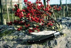 Laguiole Style De Vie Zakmes Zwart Ebbenhout -Cuisine Et Table sf zakmes zwart ebbenhout 6 gr